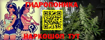 амф Кимры