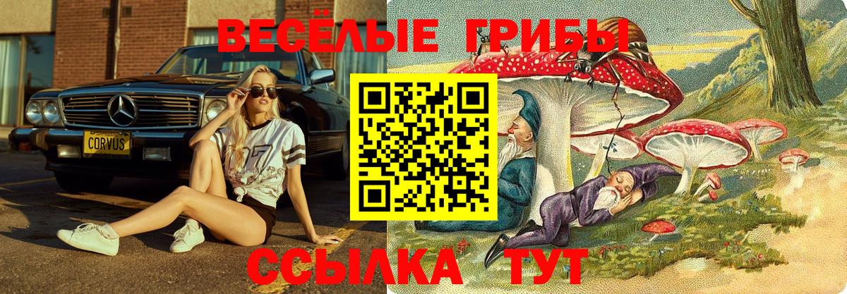 Галлюциногенные грибы прущие грибы Кузнецк